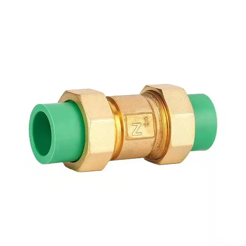 PPR check valve 1/2  20 minutes check valve 3/4 25 vertical one-way valve 1 inch 32 hot melt water pipe water meter