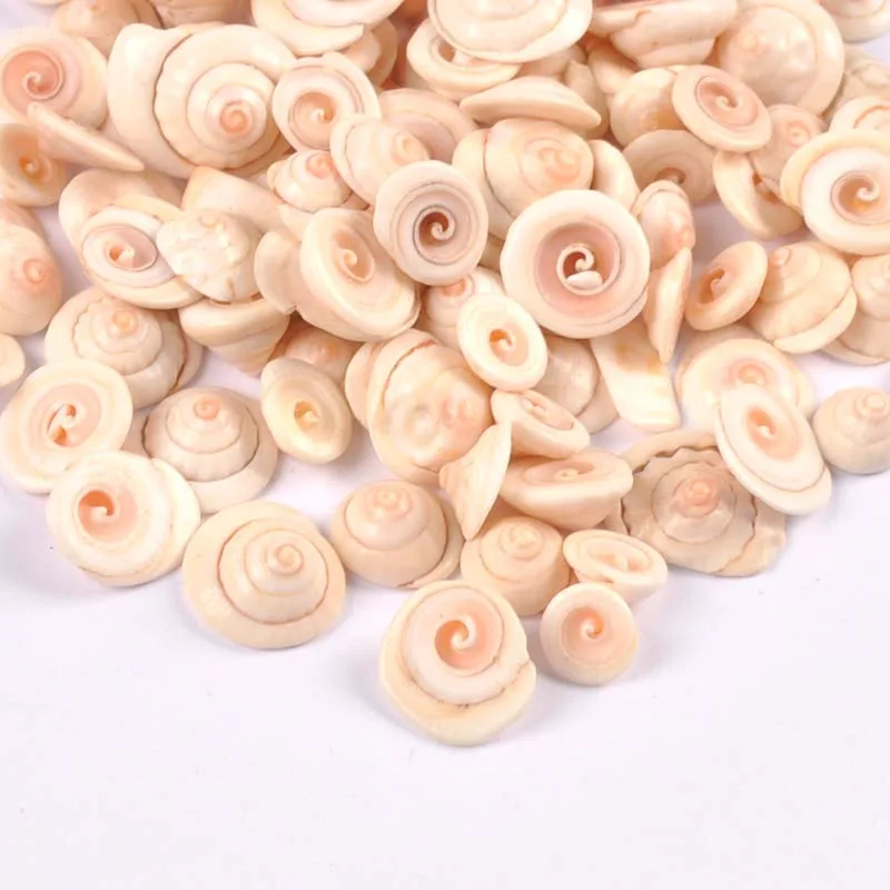 50pcs Natural Shell slicing Beads Nonporous beads for Hand decorated home furnishings and aquarium accessories TRS0418