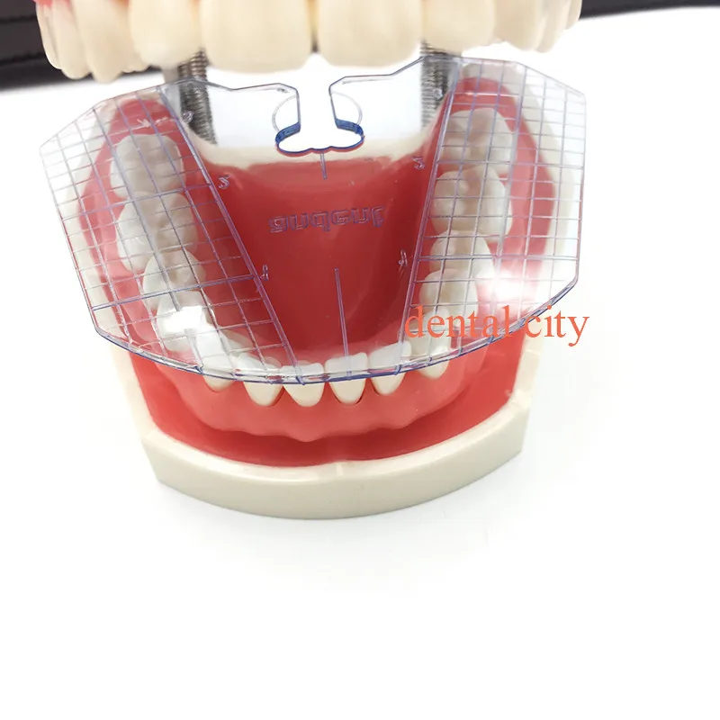 1 szt. Laboratorium dentystyczne dental płyta prowadząca układ zębów na protezie sprzęt stomatologiczny