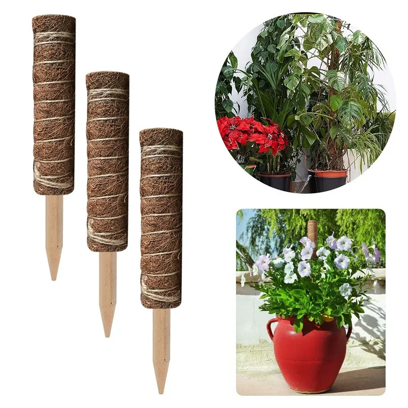 Moss Pole for Indoor Climbing Plants Creepers To Grow Upwards Plants Climbing Support Extension Palm Vines 30/40/50/60Cm