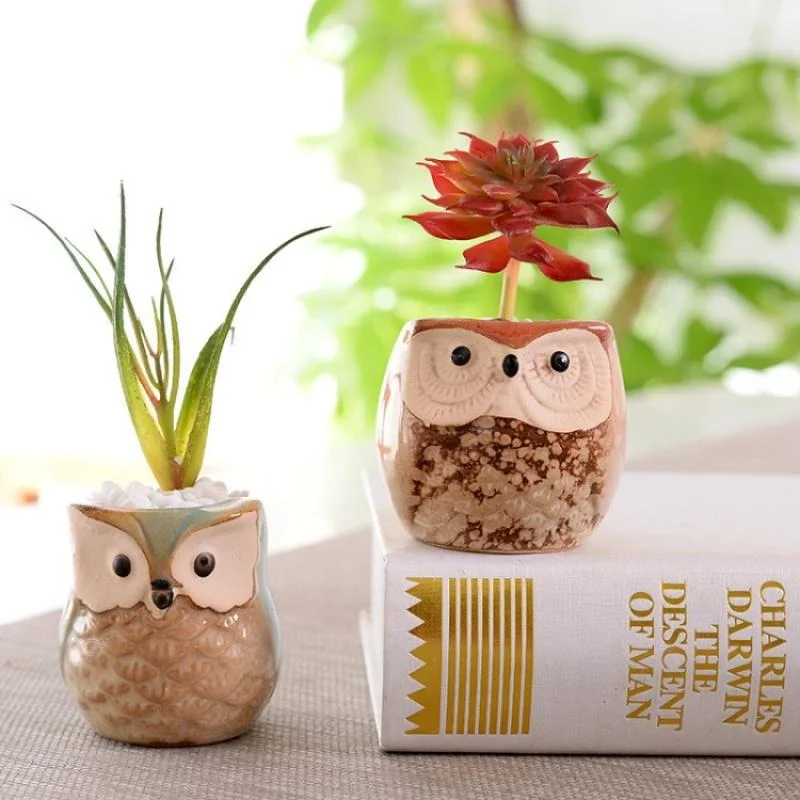 6pcs/set Creative Garden Supplies Ceramic Flowerpots Miniature Model Cute Owl Succulent Flower Pot Planter Desktop Decorations image 5