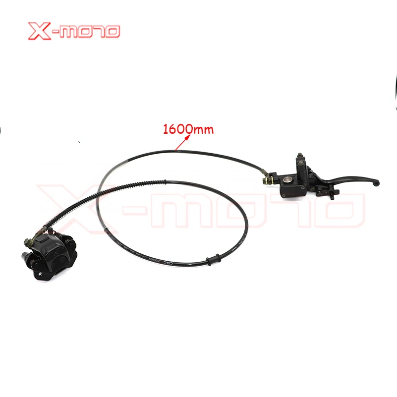 Left Hand Rear Hand…