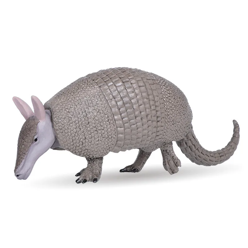 Chắc Chắn Armadillo Mô Hình Nhân Vật Hành Động Động Vật Hoang Dã Nhân Vật Hành Động Bộ Sưu Tập PVC Trẻ Nhận Thức Đồ Chơi