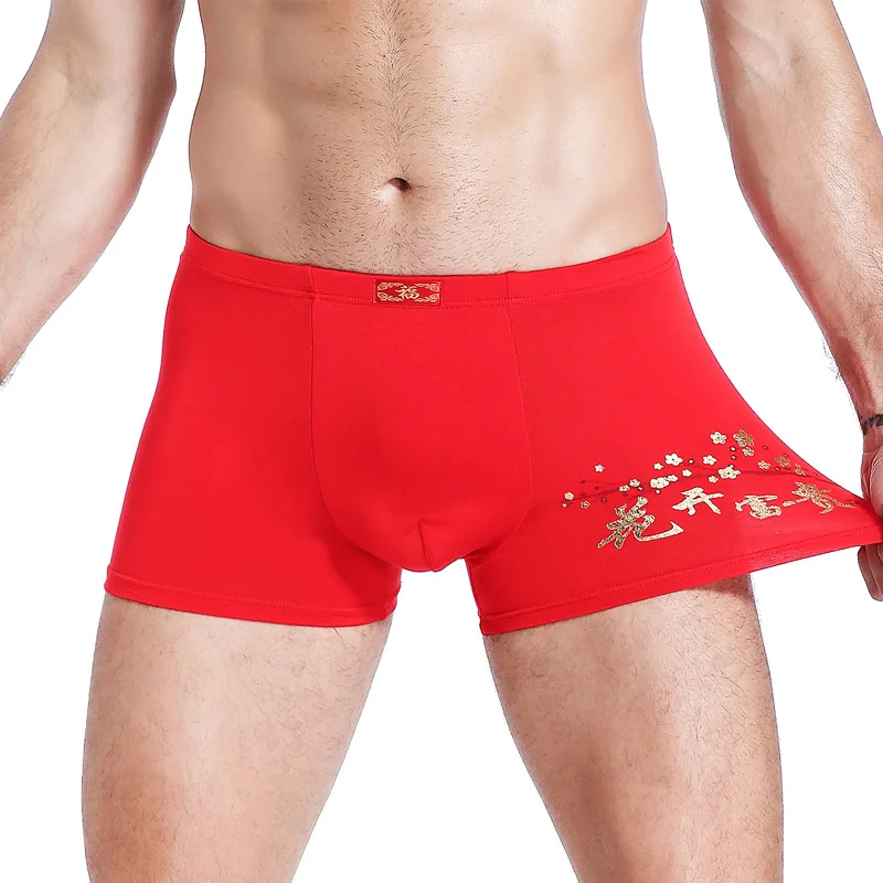 2 Pcs Big Size Men Boxers Briefs Shorts Underwear Underpants Boy Undies Panties Red Color L XL 2XL 3XL 4XL 2023 New Year Gifts