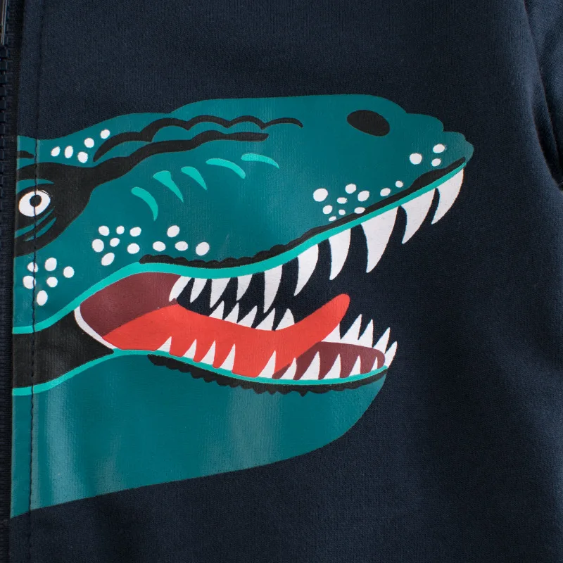 2021 Spring  Autumn Children\'s Hoodie Clothes Kids Boys Girls Cotton Zipper Dinosaur Cartoon Coat Casual Sweatshirt Clothing