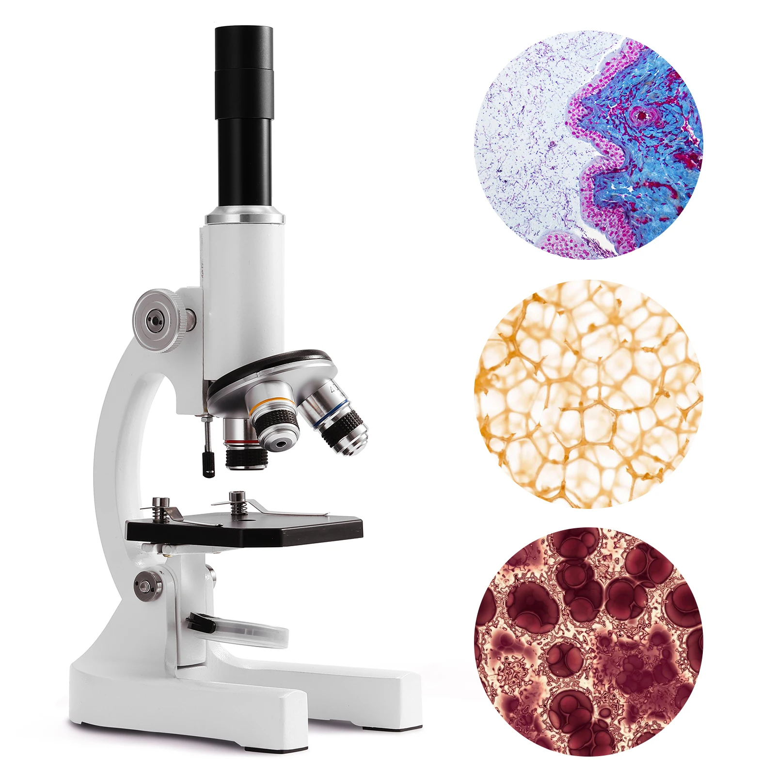 Digital Monocular Microscope for Kids and Classrooms: Real Experiences from Parents and Teachers