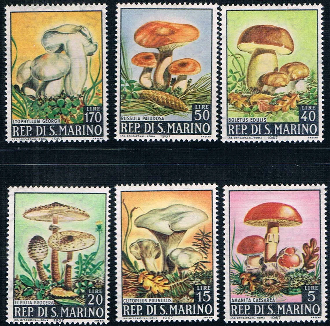 6 cv novo selo de são marinho 1967 selos cogumelo mnh