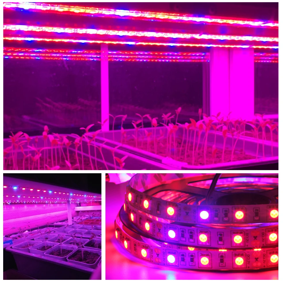 Full Spectrum Phytolamp สำหรับต้นกล้า Led สีแดง Grow 5M/ม้วน DC 12V Phytotape สำหรับพืชกันน้ำ5050ชิป5-20เมตร