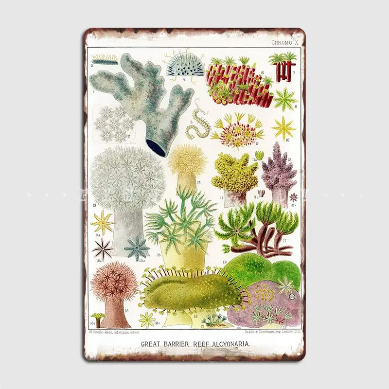 Vintage Biology Illustration The Great Barrier Reef Of Australia William Poster Metal Plaque Garage Club Painting Décor