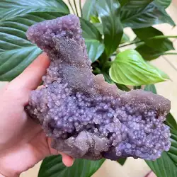 Rare! Top Natural Grape Agate Crystal Quartz Mineral Specimen Reiki Healing