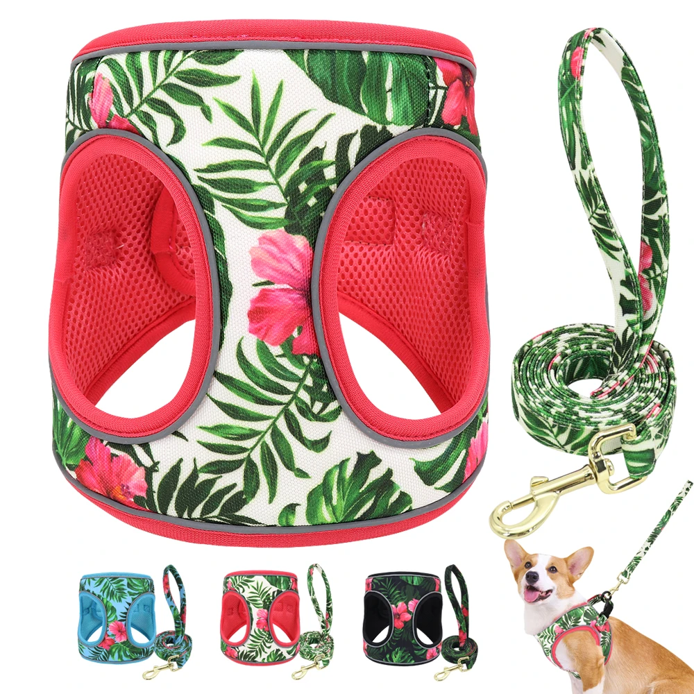 Printed Mesh Dog Cat Harness Leash Set Adjustable Nylon No Pull Pet Dog Harness Vest Lead Leashes For Small Medium Large Dogs