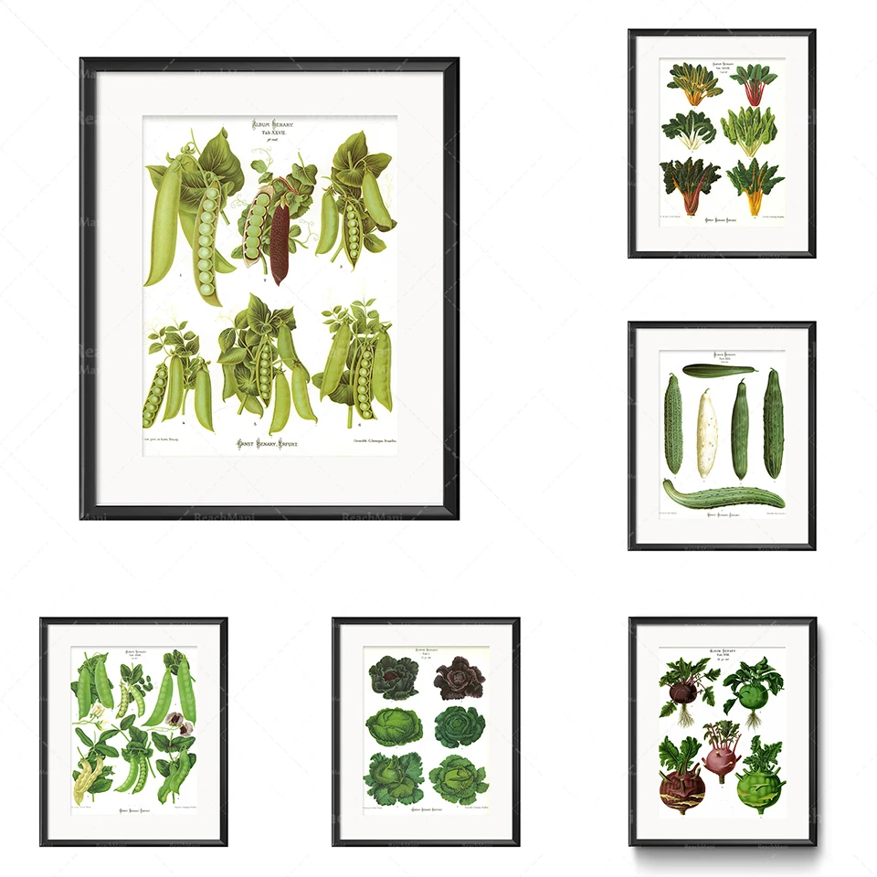 ботанический огород