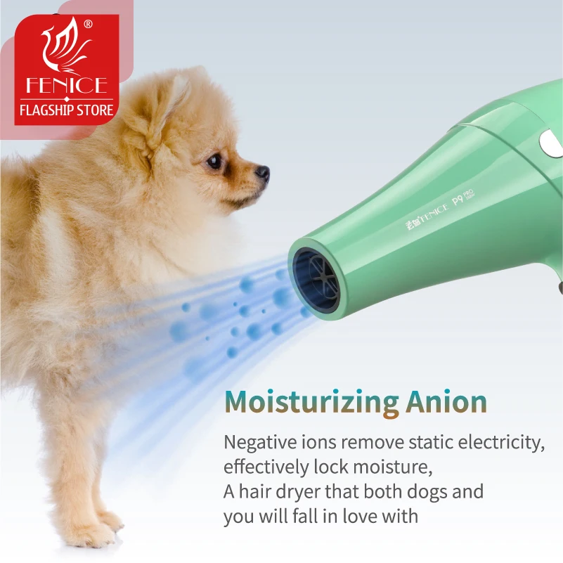 Fenice Pet hair dryer high power Teddy water blower silent dryer Cat Dog Bath quick drying hair dryer