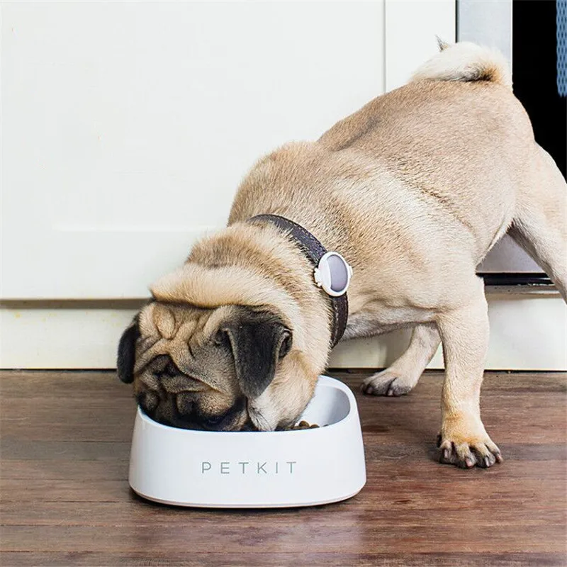 

Intelligent Pet Feeding Bowl, Automatic Feeder, Weighing Food Smart Bowl, Dog Food Container, Drinking Bowls for Dogs