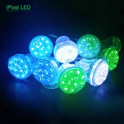 Aglare kameleon Pixel 60MM RGB 18leds atrakcje w parku rozrywki oświetlenie karuzeli