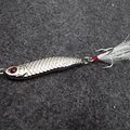 Silver Fish