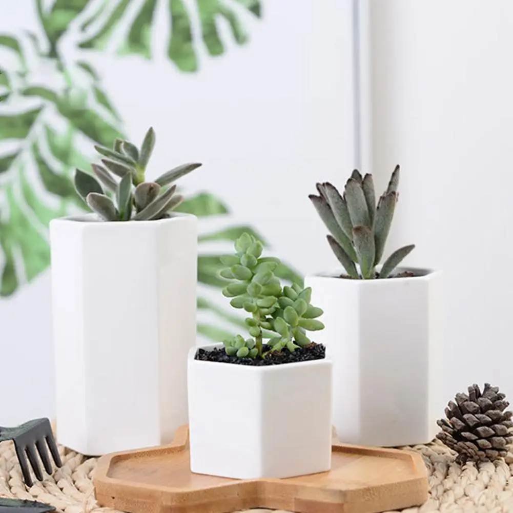 Succulent Flower Pot Fleshy Plants Hexagonal Pottery Innovative White Ceramic Bonsai With Bamboo Tray Home Decoration Flower Pot