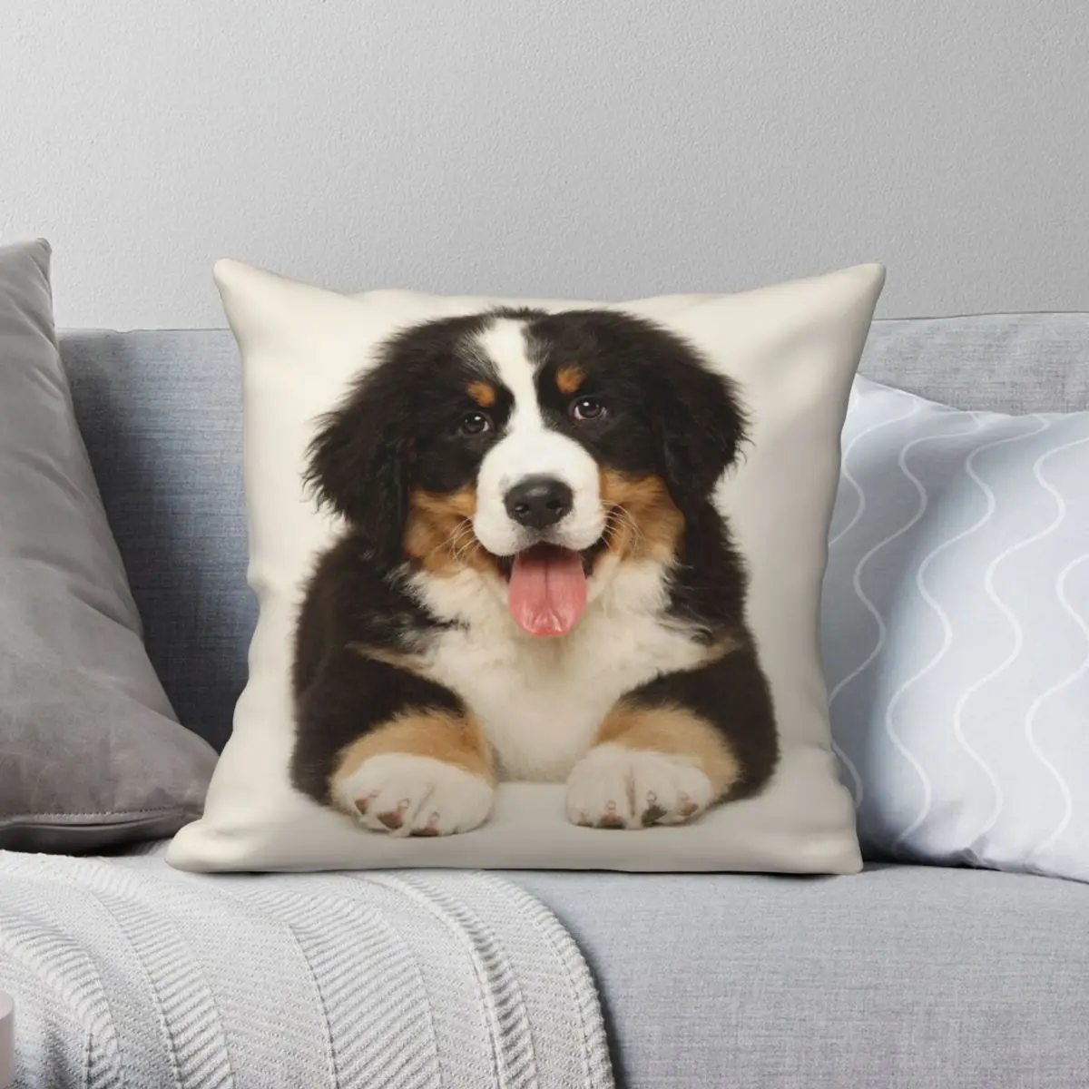 Boston The Bernese Mountain Dog Square Pillowcase Polyester Linen Velvet Creative Zip Decor Home Cushion Cover Wholesale 45x45