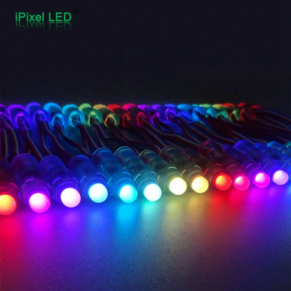 WS2811 Individually Addressable RGB  DC5v/12V12MM LED String Lights