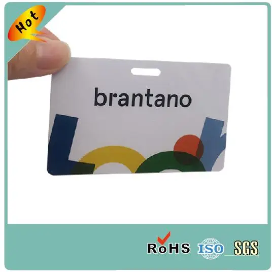 

Customized size plastic pvc card with punching hole visiting card