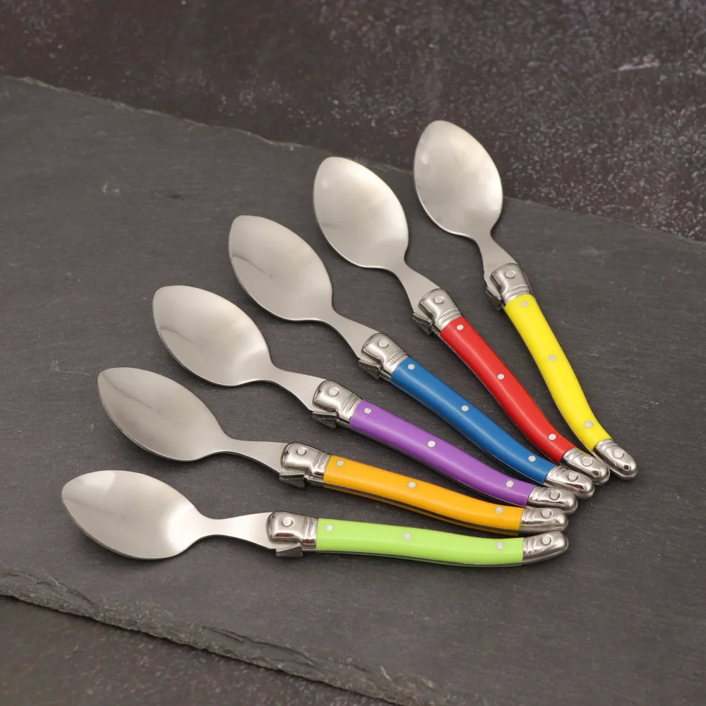 6pcs Stainless Steel Laguiole Coffee Spoons Set Plastic Handle Spoon Set for Tea Tableware Colorful Small Spoon