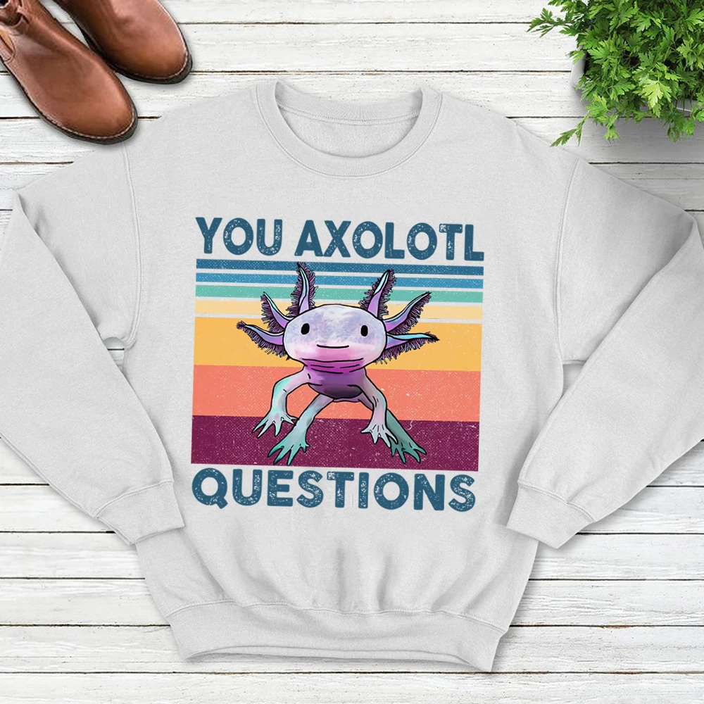 Retro 80s 90s Funny Axolotl Hoodie You Axolotl Questions Unisex Vintage Pullover Hoodie Sweatshirt