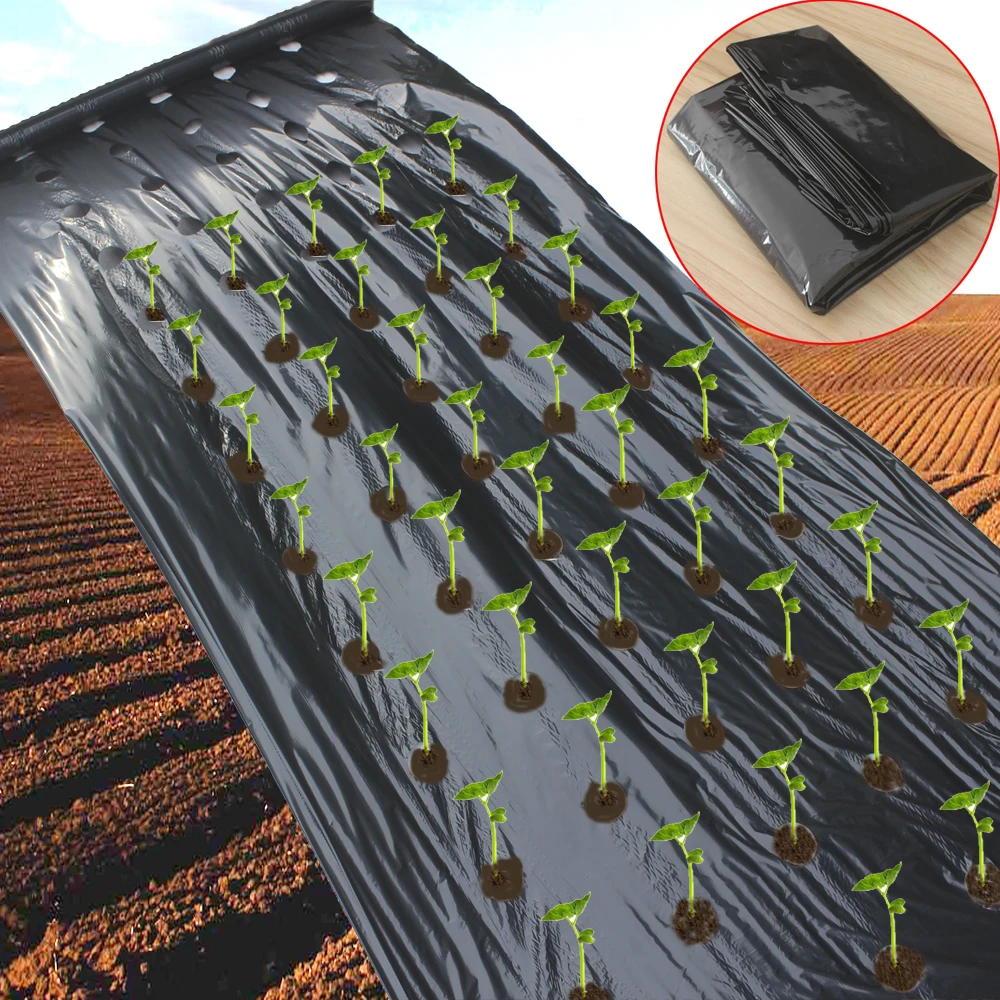 Rolnictwo Mulch Wstępnie przebite otwory Folia z tworzywa sztucznego Szklarnia Kontrola chwastów Mylar Truskawka Warzywa Sadownictwo Narzędzia do sadzenia