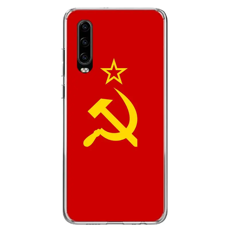 Arms Eagle Flag Phone Case For Huawei P30 P20 P10 P50 P40 Lite Mate 30 20 10 40 Pro Art Luxury Customized Cover Coque Capa