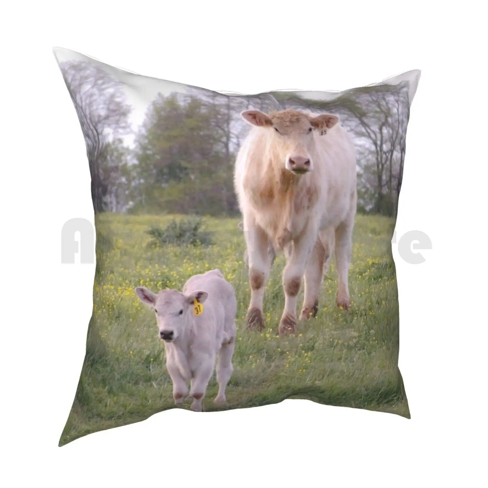 Charolais Cattle Pillow Case Printed Home Soft Throw Pillow Charolais Cattle Cow Cows Calf Calves Farm Farmland Farming