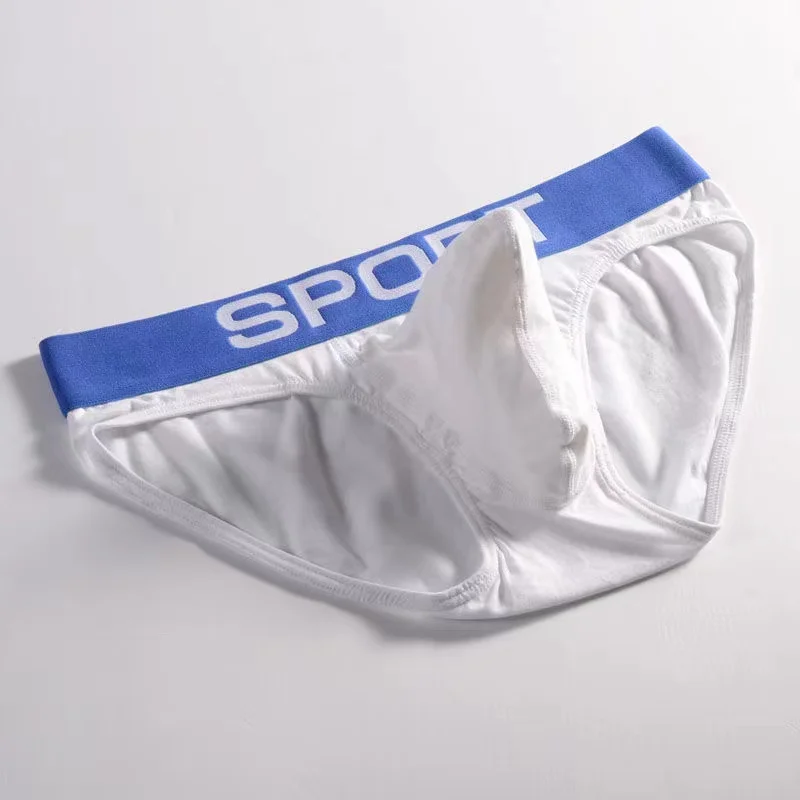 2 pcs Men Boxer Shorts Men\'s Panties Male Underpants Soft Cotton Sexy 3D U Pouch Underwear shorts Larger Size Convex