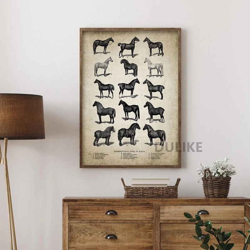 Vintage Horse Anatomy Canvas Posters Print Horse Anatomy Illustration Wall Art Painting Equestrian Pictures Home Room Wall Decor