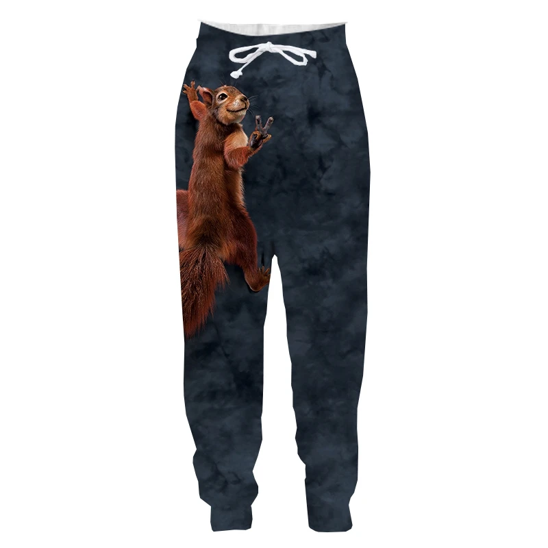 

Jumeast Boy Gril Animal Squirrel Casual Kid Long Pants Children Fashion Spring Autumn Sport Pullover Length Sweatpants Trousers