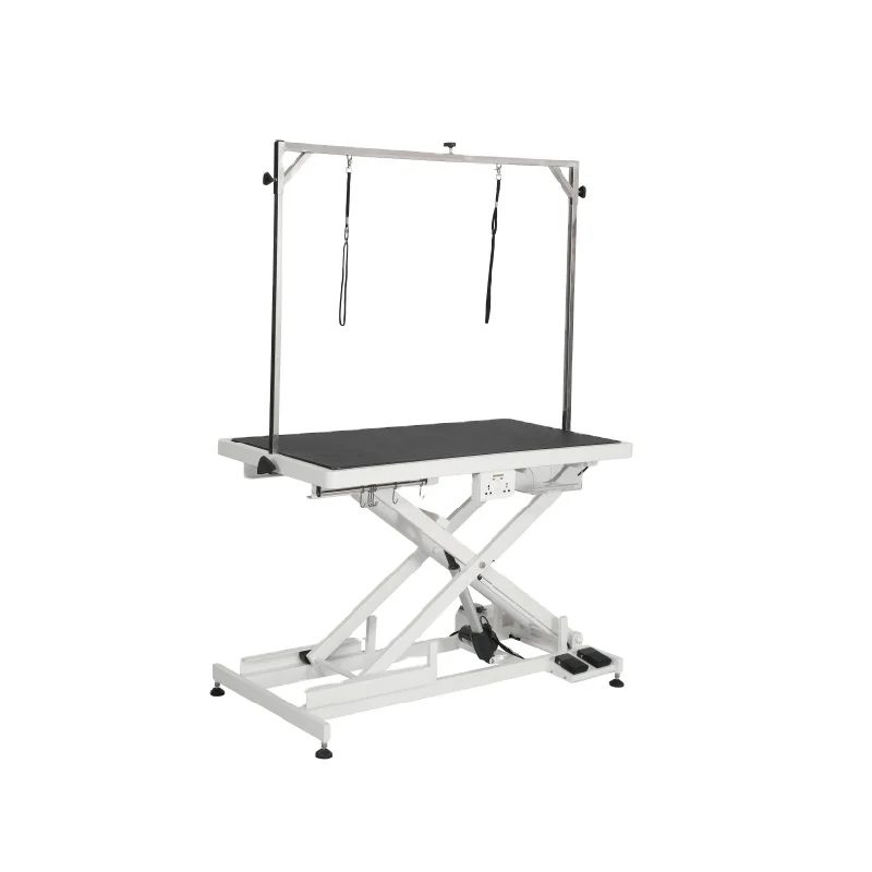 FT - 808pro pet products   Low-Low Electric Lifting  pet grooming Table for dogs