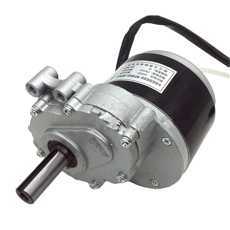 

250W 24V Dc Low Motor, Wheelchair Special Dc Gear Brush Motor 75Rpm/120Rpm