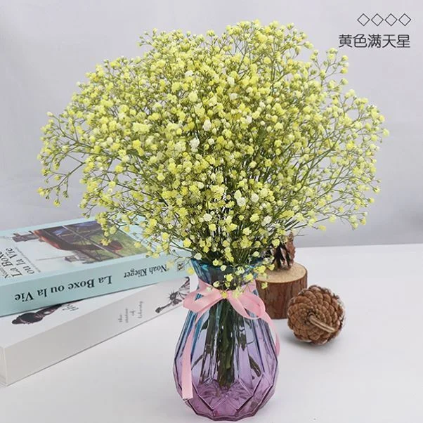 Decoration Dried Flower Window for Girlfriend  Main Bouquet Hand European and American Style Male North New Year Family Small