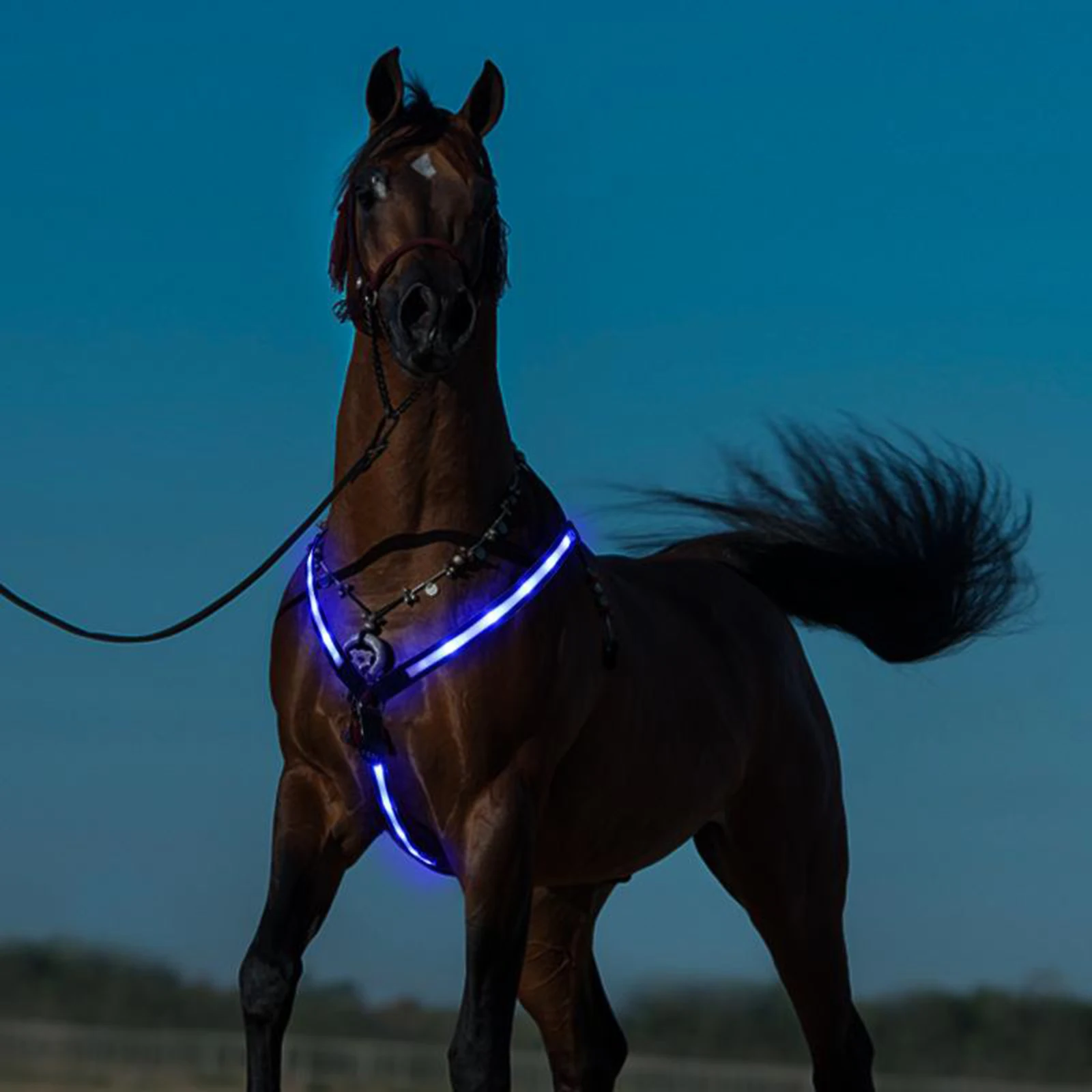 LED Horse Breastplate Collar Bridle Halter Neon Lights High Visibility Tack for Night Horse Riding Safety Equestrian Training