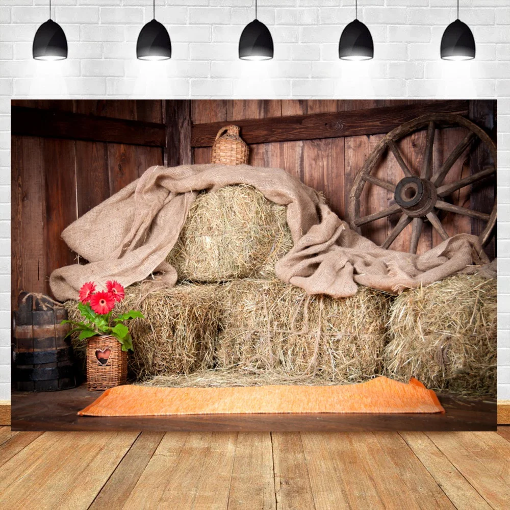 Laeacco Alten Ländlichen Holz Lager Bauernhof Glas Veranda Boden Baby Porträt Foto Hintergründe Fotografie Kulissen Für Foto Studio