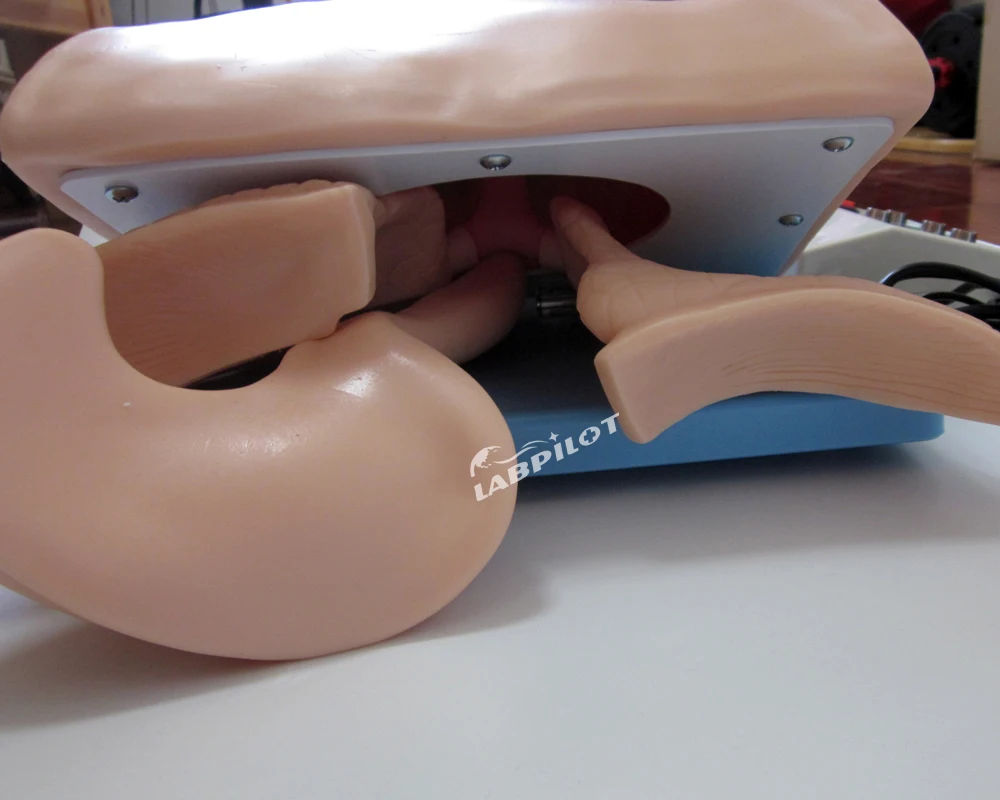 Electronic Tracheal Intubation Simulator Airway  Head Model, Adult Oral and Nasal Tubing Trainer