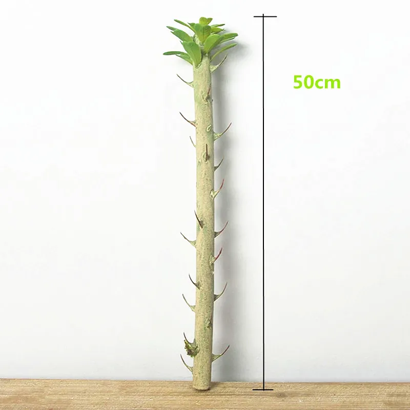 50cm Artificial Cylindrical Cactus Plants Tropical Plastic Rare Branch Art Crafts Modeling Props Hotel Office Balcony Home Decor