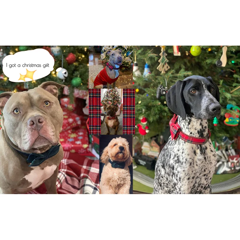 Unique Style Paws Christmas Adjustable Handmade Bowtie Dog and Cat Collar Pet Gift for Dogs and Cats