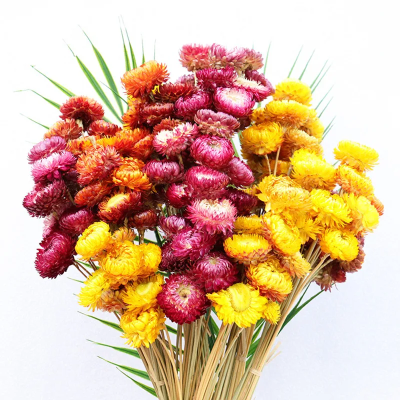 

10pcs Natural Chrysanthemum Bouquet Daisy Sunflower Dried Plant Flower Home Decoration Mother's Day Gift Living Room Dekoration