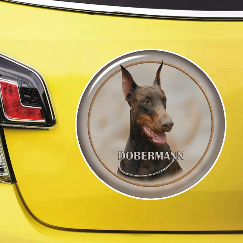 

S62139# Doberman Dog Self-adhesive Decal Car Sticker Waterproof Auto Decors on Bumper Rear Window Laptop Choose Size