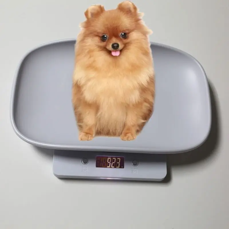 1g-10kg Pet Dog Cat Animal Scale Digital Baby Infant Weight Scale (kg/oz/lb) LCD E7CB