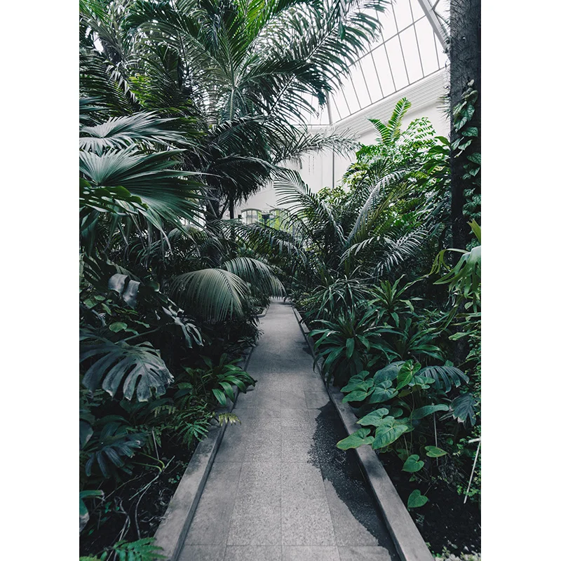 SHUOZHIKE-الغابات الاستوائية التصوير الخلفيات ، الأشجار الخضراء ، النباتات ، يترك الدعائم ، مشهد طبيعي ، صور خلفية الاستوديو ، REL-04