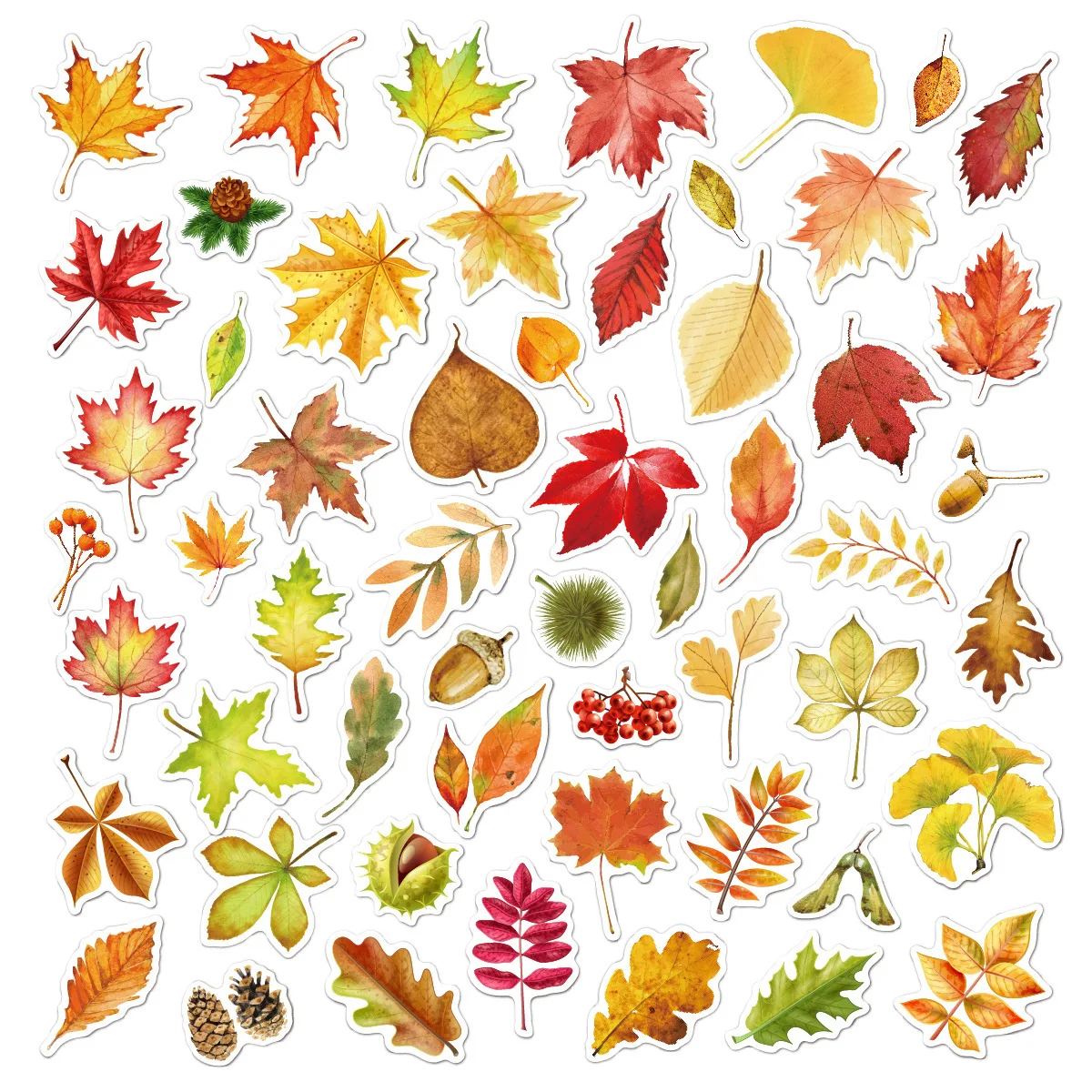 50 sheets/Pack Autumm Maple Leaves Graffiti Decorative Stickers