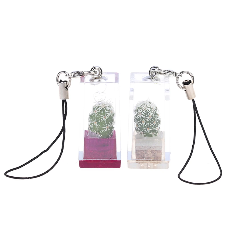 1PC Mini Succulent Cactus Plant Keychain Random Plant Pendant Keyring Charm With Glass Cover Craft Gifts For Women