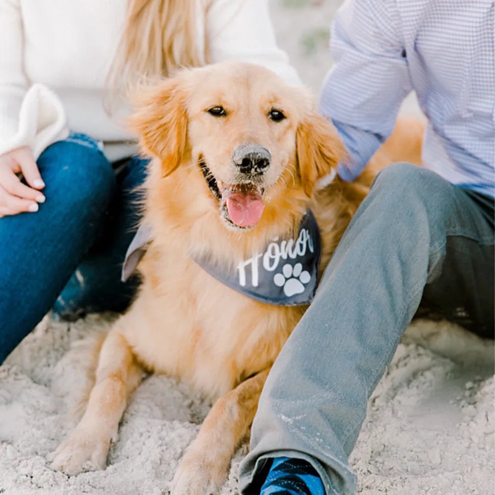 Custom Big brother Dog pregnancy announcement dog bandana baby pregnancy announcement to husband grandparents family solid color