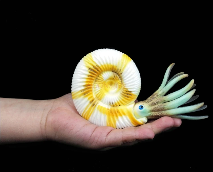 brinquedo-de-simulacao-de-concha-nautilus-2021-modelo-de-animal-de-aquario-solido-de-plastico-para-o-mundo-subaquatico-presente-cognitivo-infantil