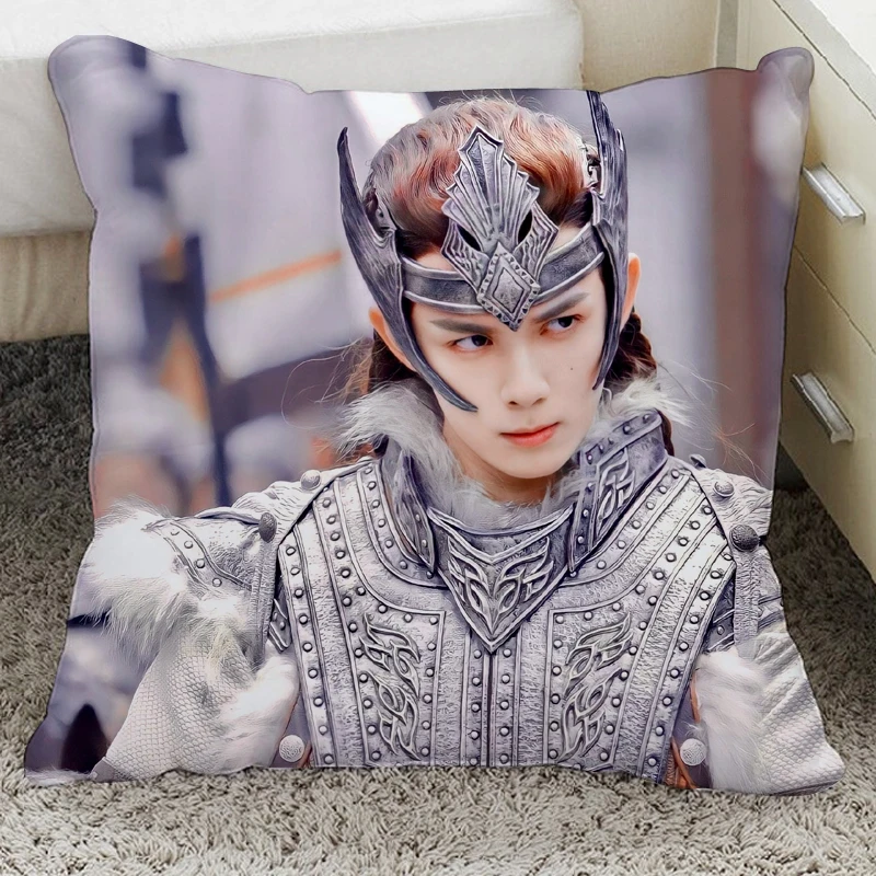 The Long Ballad Birthday Gift High Quality Dilireba Wulei Star pillow