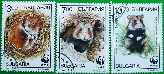 3 PCS,Bulgaria Post Stamp,1994,Animal Stamps,High Quaility,Real Original,New UNC,MNH